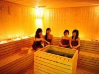 Các linh kiện phòng tắm xông hơi khô